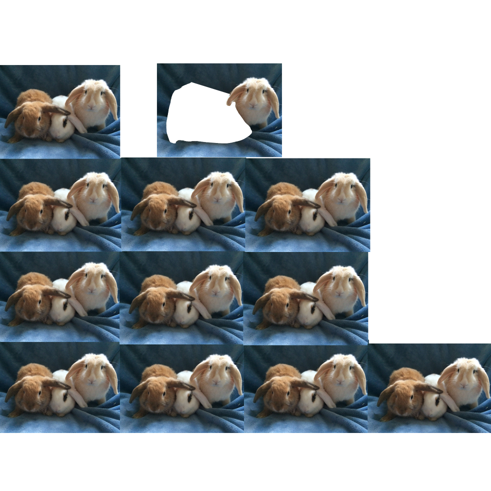 34_bunnies.png
