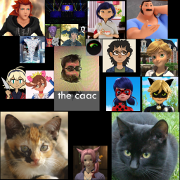 Every_TCHGS_Tribute_So_Far.png