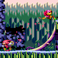 knuckles_and_espio.png