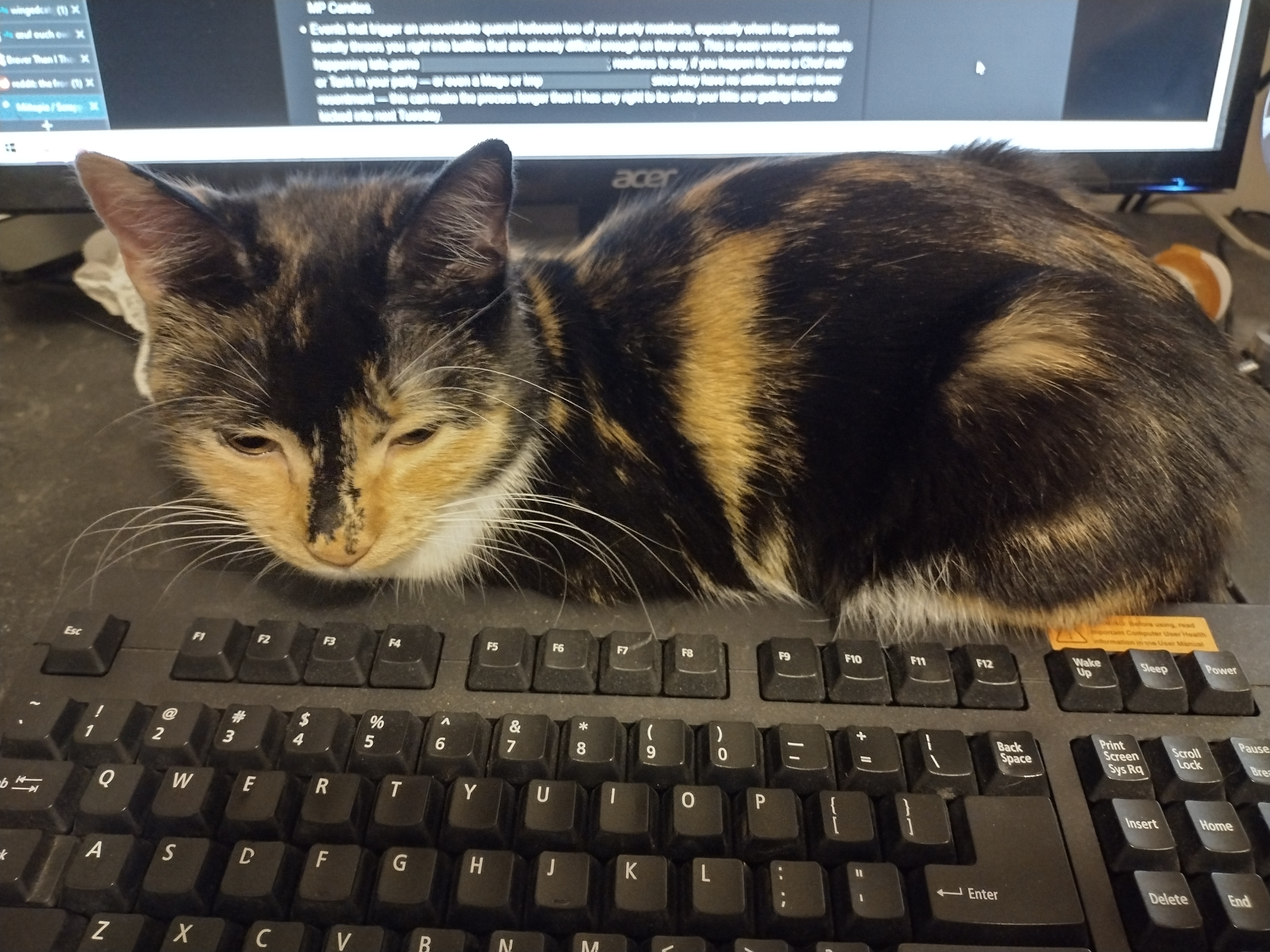 Patchy loafing between a keyboard and monitor. The monitor's text, slightly out of focus, is the TV Tropes article on Scrappy Mechanics in Miitopia.