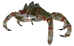 Mudcrab.png
